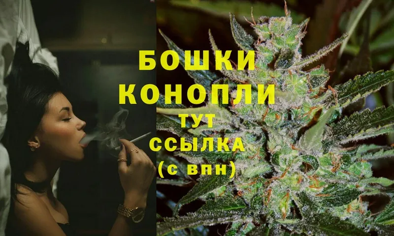 Бошки Шишки SATIVA & INDICA  Ладушкин 